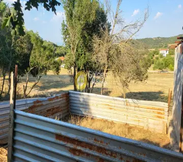 Αγροτεμάχιο 7000τ.μ. προς πώληση φωτογραφία 10