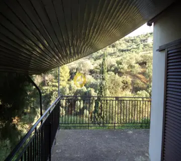 Μονοκατοικία 196τ.μ. προς πώληση φωτογραφία 8