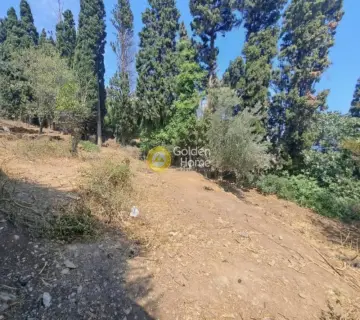 Residential 525m<sup>2</sup> for sale photo 3