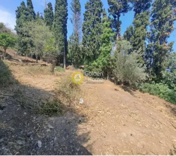 Residential 525m<sup>2</sup> for sale photo 5