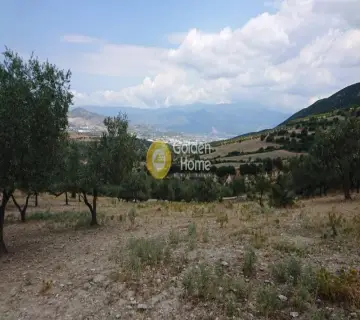 土地 9535m<sup>2</sup> for sale photo 4331786