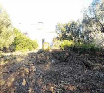 Residential 1043m<sup>2</sup> for sale photo 11