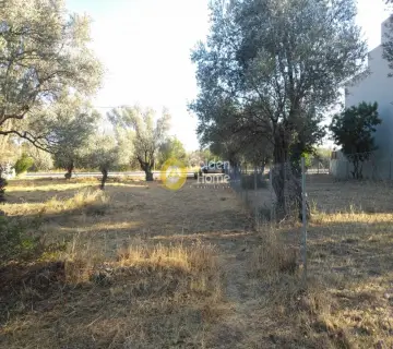 Residential 1043m<sup>2</sup> for sale photo 6