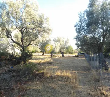 Residential 1043m<sup>2</sup> for sale photo 5