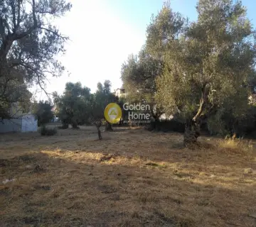 Residential 1043m<sup>2</sup> for sale photo 1
