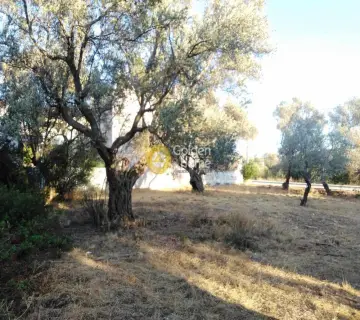 Residential 1043m<sup>2</sup> for sale photo 9