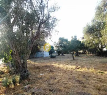 Residential 1043m<sup>2</sup> for sale photo 3
