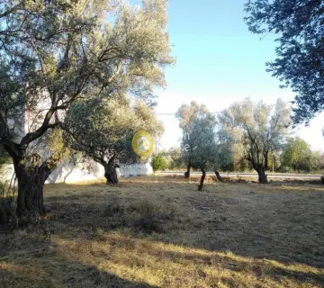 Residential 1043m<sup>2</sup> for sale photo 10