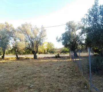 Residential 1043m<sup>2</sup> for sale photo 4