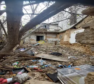 Golden Home Property Image