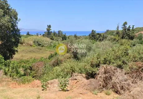 Οικιστικό 3881τ.μ. προς πώληση φωτογραφία 2