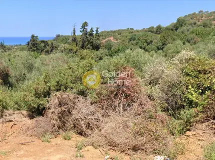 Οικιστικό 3881τ.μ. προς πώληση φωτογραφία 3