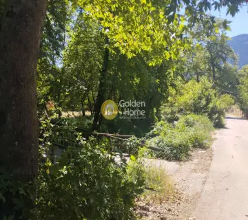 Μονοκατοικία 230τ.μ. προς πώληση φωτογραφία 13