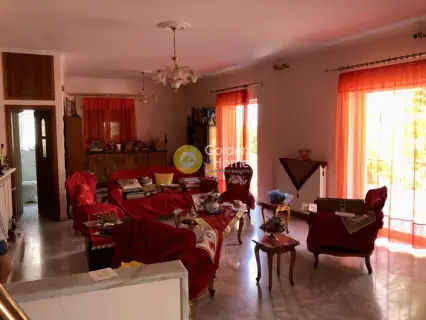 House 225m<sup>2</sup> for sale photo 5