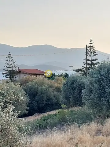 Apartment 53m<sup>2</sup> for rent photo 21