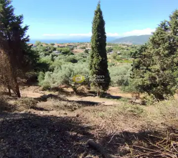Residential 1072m<sup>2</sup> for sale photo 4349083