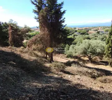 Residential 1072m<sup>2</sup> for sale photo 4349085