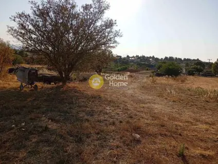 Οικιστικό 5088τ.μ. προς πώληση φωτογραφία 4348854