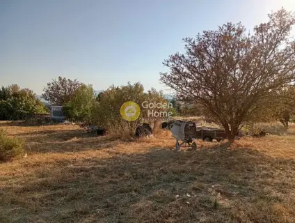 Οικιστικό 5088τ.μ. προς πώληση φωτογραφία 4348854