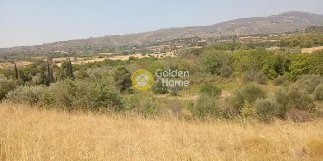Οικιστικό 5088τ.μ. προς πώληση φωτογραφία 4348854