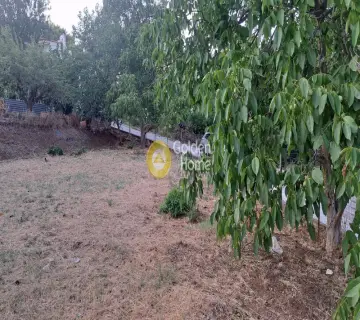 Οικιστικό 500τ.μ. προς πώληση φωτογραφία 4