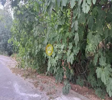 Οικιστικό 500τ.μ. προς πώληση φωτογραφία 10