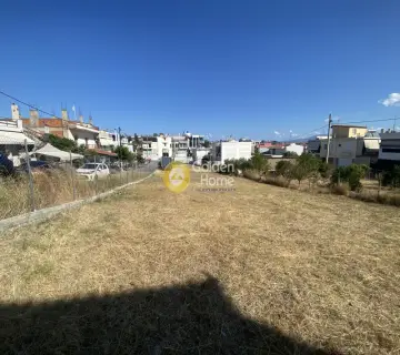 Residential 1040m<sup>2</sup> for rent photo 4407598