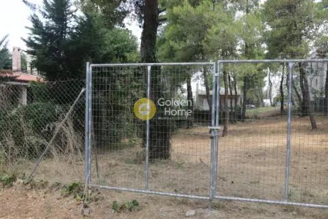 Residential 700m<sup>2</sup> for sale photo 4355974