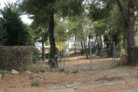 Residential 700m<sup>2</sup> for sale photo 1