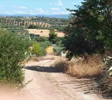 Κτίριο 400τ.μ. προς πώληση φωτογραφία 18