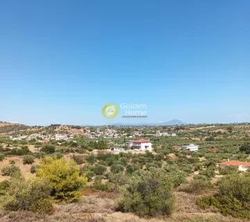 Κτίριο 400τ.μ. προς πώληση φωτογραφία 36