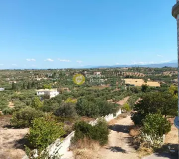 Κτίριο 400τ.μ. προς πώληση φωτογραφία 51