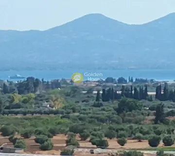 Κτίριο 400τ.μ. προς πώληση φωτογραφία 2