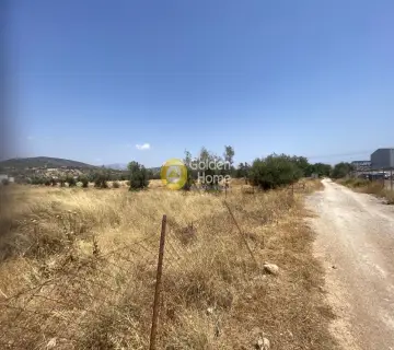 Επαγγελ. Οικόπεδο 22000τ.μ. προς πώληση φωτογραφία 4352849