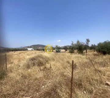 Επαγγελ. Οικόπεδο 22000τ.μ. προς πώληση φωτογραφία 4352845