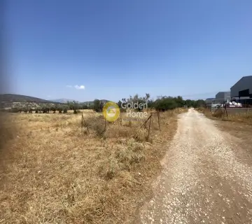 Επαγγελ. Οικόπεδο 22000τ.μ. προς πώληση φωτογραφία 4352848