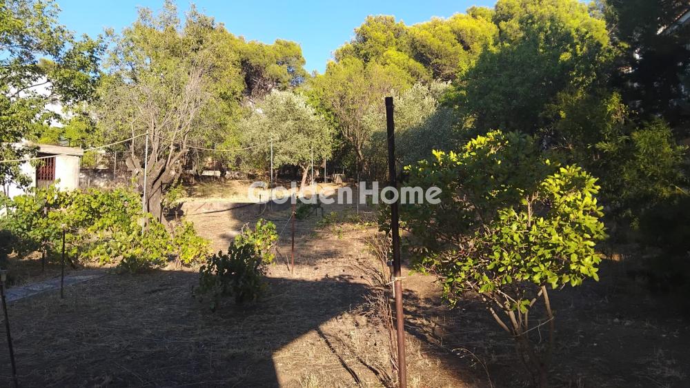 house in Penteli — Photo 18 of 18
