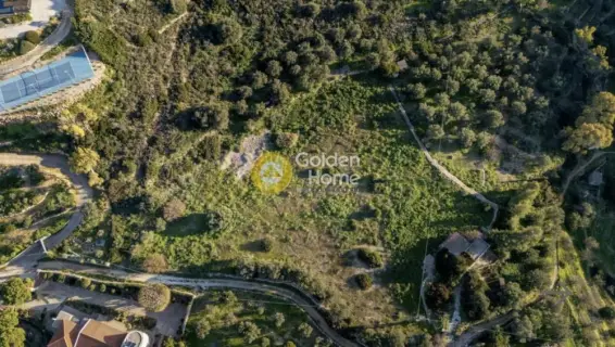 Golden Home Property Image