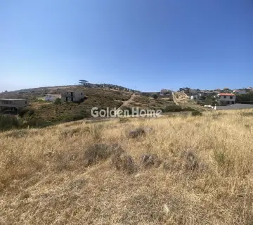 Οικιστικό 4050τ.μ. προς πώληση φωτογραφία 4881785