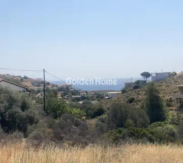 Οικιστικό 4050τ.μ. προς πώληση φωτογραφία 4881782