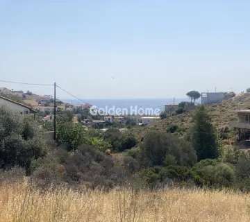 Οικιστικό 4050τ.μ. προς πώληση φωτογραφία 4881791