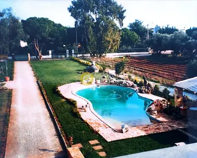 Golden Home Property Image