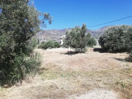 Οικιστικό 1047τ.μ. προς πώληση φωτογραφία 2