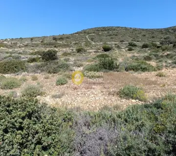 土地 6645m<sup>2</sup> for sale photo 7
