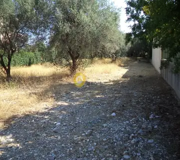 住宅 1159m<sup>2</sup> for sale photo 4363477