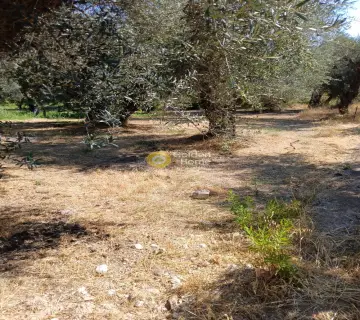 Professional Plot 5743m<sup>2</sup> for sale photo 4365123