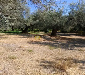 Professional Plot 5743m<sup>2</sup> for sale photo 4365130