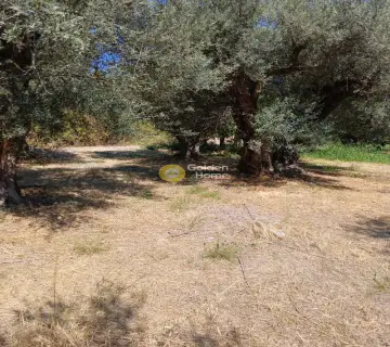Professional Plot 5743m<sup>2</sup> for sale photo 4365138