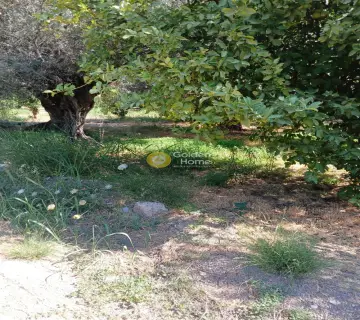 Professional Plot 5743m<sup>2</sup> for sale photo 4365139