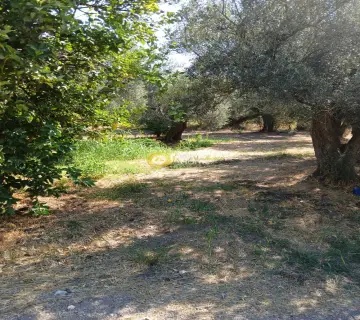 Professional Plot 5743m<sup>2</sup> for sale photo 4365144